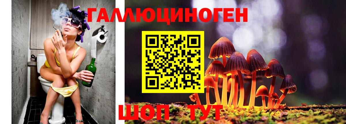 Вязники  Галлюциногенные грибы мухоморы  Псилоцибиновые грибы Psilocybe  Вход с VPN 